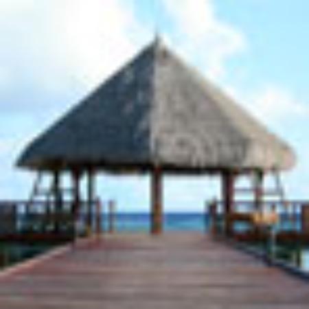 Padi's Point Restaurant and Bar